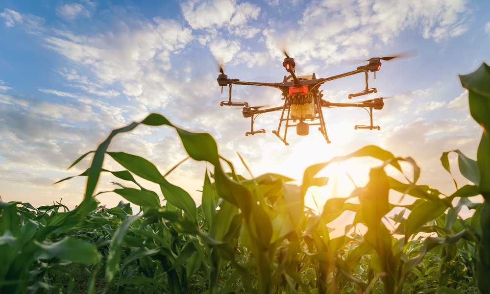 Wheat Production Project (Pivot Irrigation)
